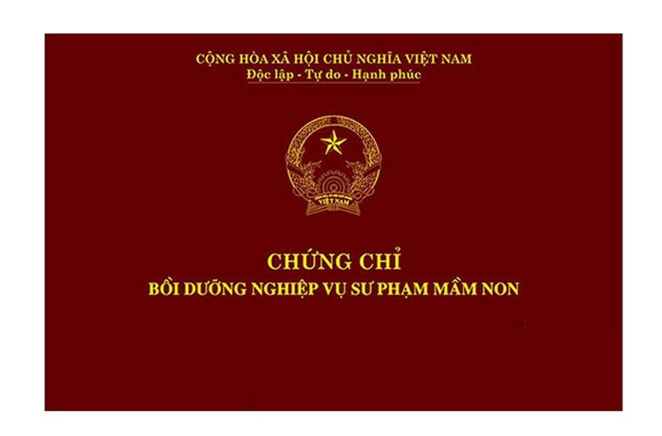 Đào tạo cấp chứng chỉ nghiệp vụ sư phạm mầm non dao-tao-cap-chung-chi-nghiep-vu-su-pham-mam-non-la-qua-trinh-giup-cac-ca-nhan-duoc-trang-yl3eue