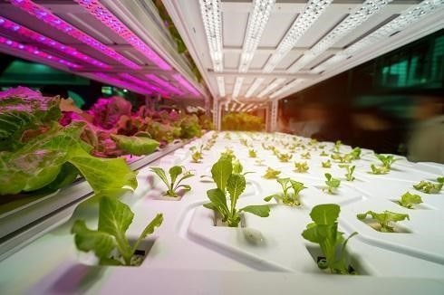 Bạn đang tìm kiếm một địa điểm để học ngành Nông nghiệp sao cho phù hợp?