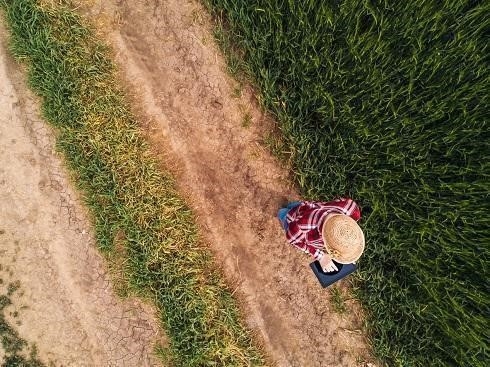 Trong ngành Nông nghiệp, chúng ta học những gì?