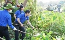 Nếu bạn đã học ngành kinh tế nông lâm, thì bạn đang tìm kiếm công việc ở đâu?
