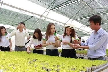 nong-hoc-la-linh-vuc-nghien-cuu-ve-cac-phuong-phap-va-ky-thuat-trong-san-xuat-nong-nghiep-sau-ypo1rt