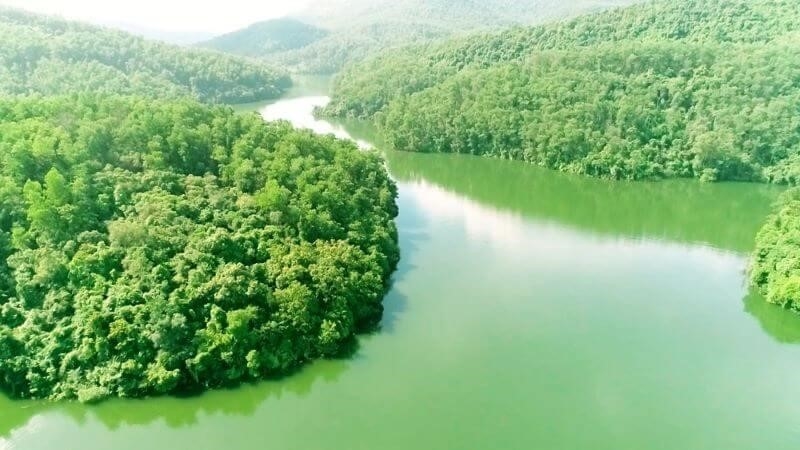 Rừng phòng hộ là khu vực rừng được bảo vệ và duy trì để giữ gìn sự đa dạng sinh học và bảo vệ môi trường. Các loài động thực vật quý hiếm, đặc hữu và các hệ sinh thái quan trọng đều được bảo tồn tại đây. Rừng phòng hộ còn cung cấp cho con người các dịch vụ sinh thái như cung cấp nước, giữ đất và giảm thiểu thiên tai. Việc bảo vệ và phát triển rừng phòng hộ là một nhiệm vụ rất quan tr