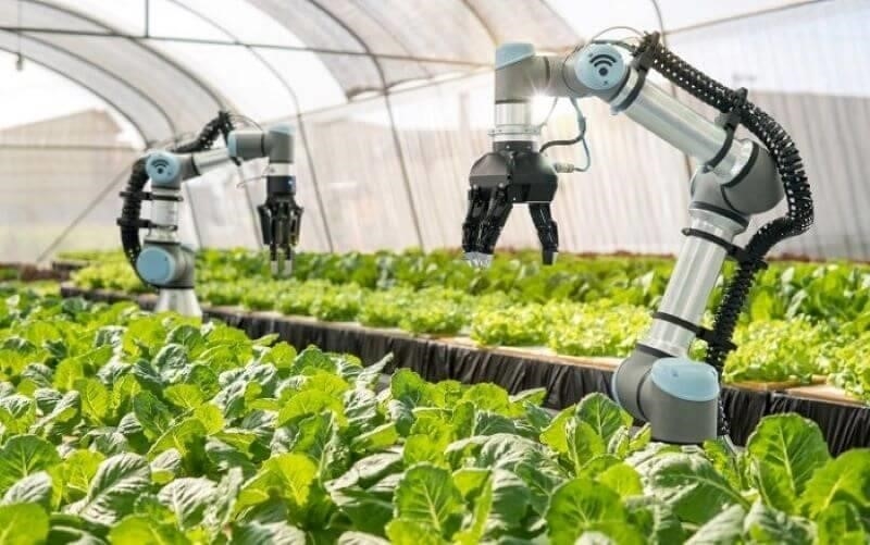 Khó khăn mà chúng ta đang đối mặt là việc áp dụng các tiến bộ khoa học kỹ thuật vào thực tế.