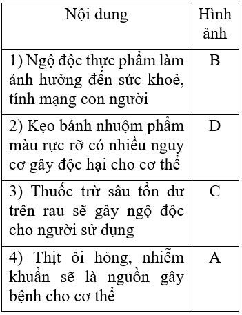 Trong bài học Công nghệ VNEN của lớp 6, chúng ta sẽ tìm hiểu về hoạt động hình thành kiến thức.